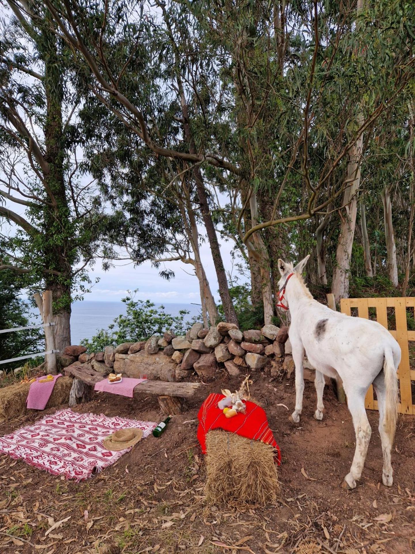 וילאביצ'יוסה Turismo Rural El Piensu מראה חיצוני תמונה